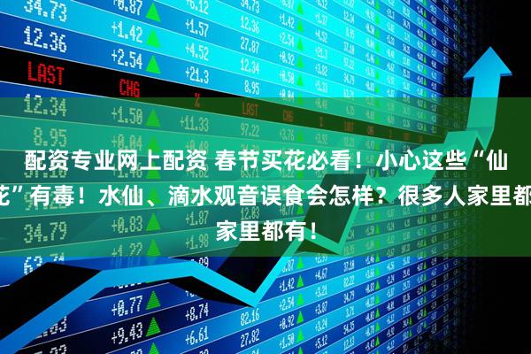 配资专业网上配资 春节买花必看！小心这些“仙女花”有毒！水仙、滴水观音误食会怎样？很多人家里都有！